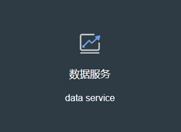 數(shù)據(jù)服務